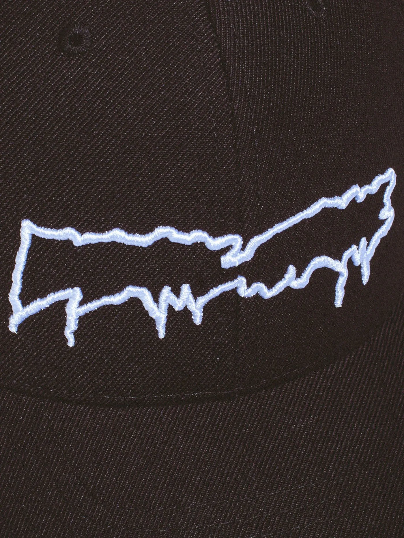 Drip Logo Snapback Hat